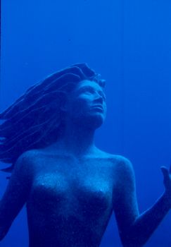 Mermaid taken in Grand Cayman with NikV & 15mm lens. by Beverly Speed 